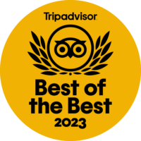 Trip advisor travels choice award for jacks surf lessons in myrtle beach